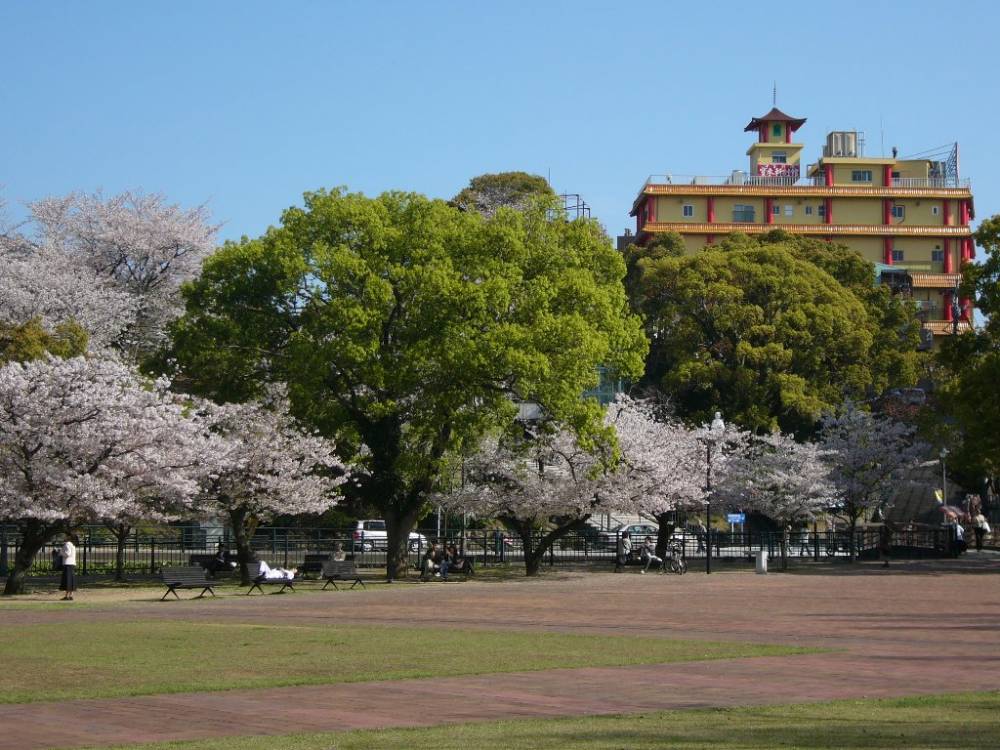 cherry_blossom_nagasaki_022.jpg