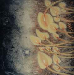 THE CLOWN by BUTCH PAYAWAL