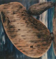 STILL by BUTCH PAYAWAL