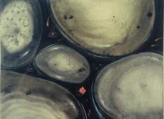 LOUD by BUTCH PAYAWAL