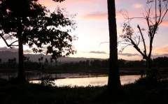 Mindanao Sunset over Palayan