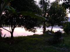 Palayan at Twighlight