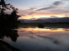 Mindanao Sunset over Palayan