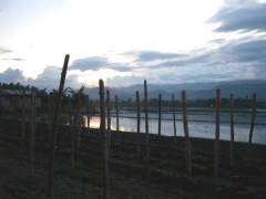 Palayan at Twighlight