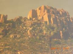 Glimpses of  Southern India 023.jpg
