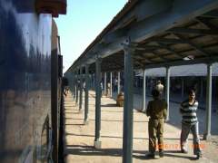 Glimpses of  Southern India 015.jpg