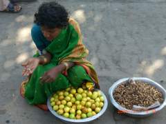 Glimpses of  Southern India 020.jpg