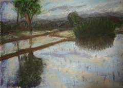 Palayan Sunset - Stage Seven