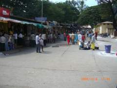 Glimpses of  Southern India 045.jpg