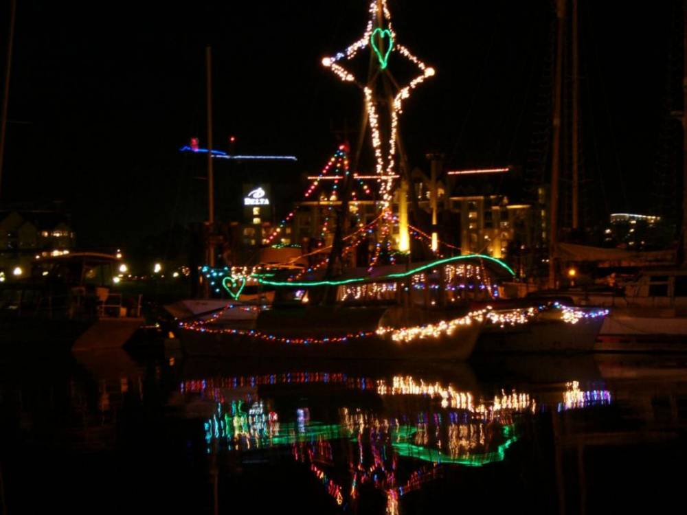 Victoria Harbor Christmas Lights