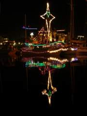 Victoria Harbor Christmas Lights