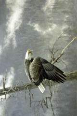 Robert Bademan - Nature Photrealism Painting