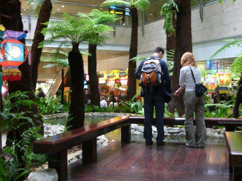 Changi Airport Japanese Water Gardens and Koi Pool