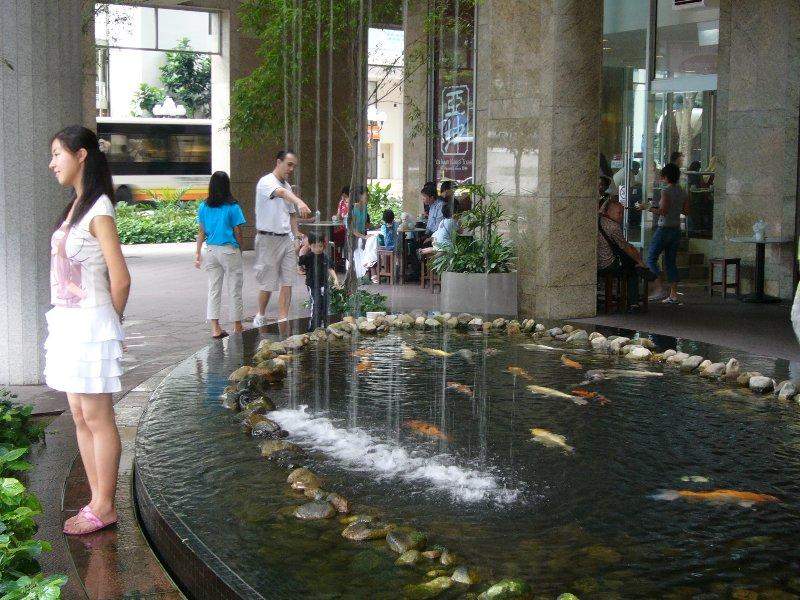 Beautiful Young Chinese Lady Posing by Koi Pond