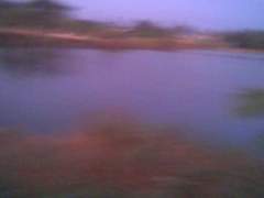 Fishpond