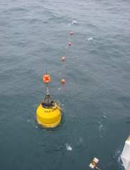 Cable Buoy