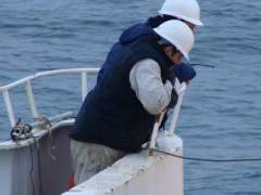 Four Eyes are Better than Two!