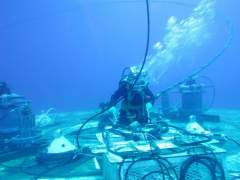 Divers at work