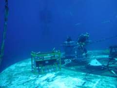 Divers at work 4.jpg