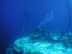 Divers at work 5.jpg