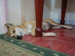 Jumong Making Himself at Home!