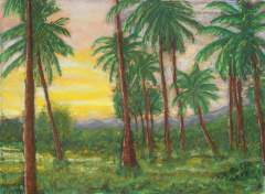 Sunset with Coconut Palms