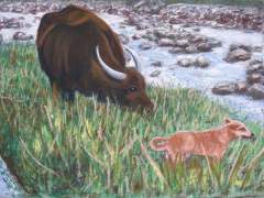 Pandak and Young Kalabaw