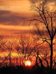 Portrait of a sunset