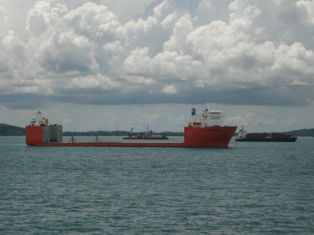 Black Marlin 001.jpg - Ships, boats and life at sea - ArtFreaks.com