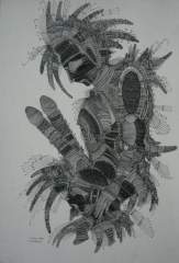 Nisael Agag pen and ink drawing - Tworero