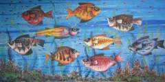 Paco Gorospe - Aquarium