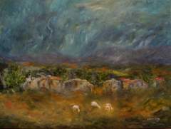 Tierra de pastores - Amblayo, Salta