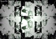 "Dinner Table" by Peter George Coukis