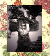 "You Can't Take it With You" by Peter George C