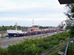 CAPT. HENRY JACKMAN
