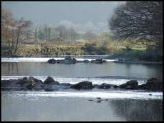 Waterscape