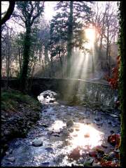 Winter Spirit