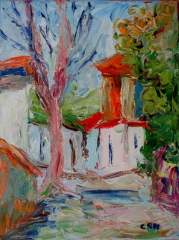 SERIE VALLES CALCHAQUIES - Salta