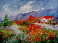 SERIE VALLES CALCHAQUIES - Salta