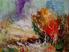 SERIE VALLES CALCHAQUIES - Salta