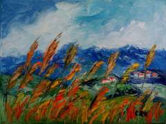 SERIE VALLES CALCHAQUIES - Salta