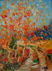 SERIE VALLES CALCHAQUIES - Salta