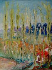 SERIE VALLES CALCHAQUIES - Salta