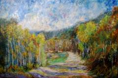 SE ACOMODA CON CURVAS - Cachi, Salta