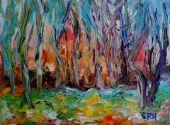 SERIE VALLES CALCHAQUIES - Salta