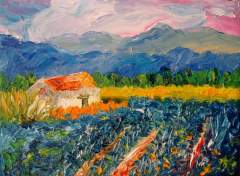 SERIE VALLES CALCHAQUIES - Salta