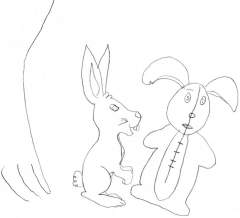 Velveten Rabbit.jpg