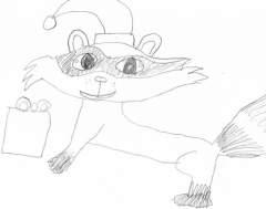 Christmas Racoon.jpg