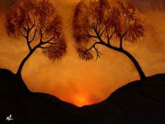 Sunset in the Jerusalem hills