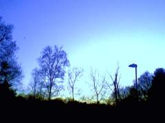 Blue sky in winter